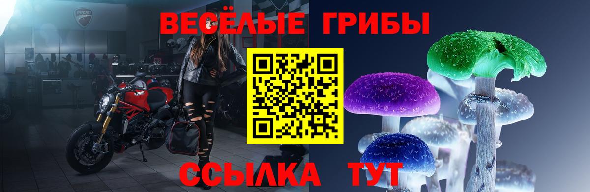 Псилоцибиновые грибы Cubensis  Вход с VPN  Тулун 